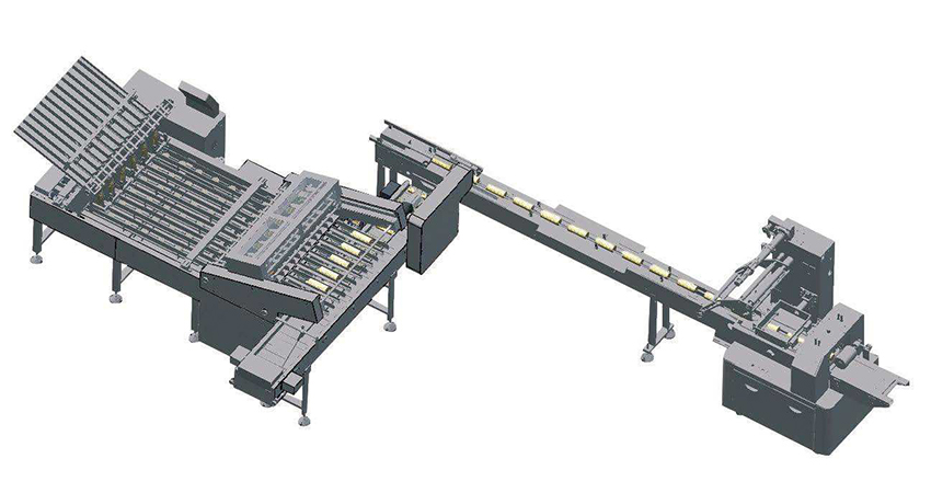 Cookies biscuit counting and packaging system